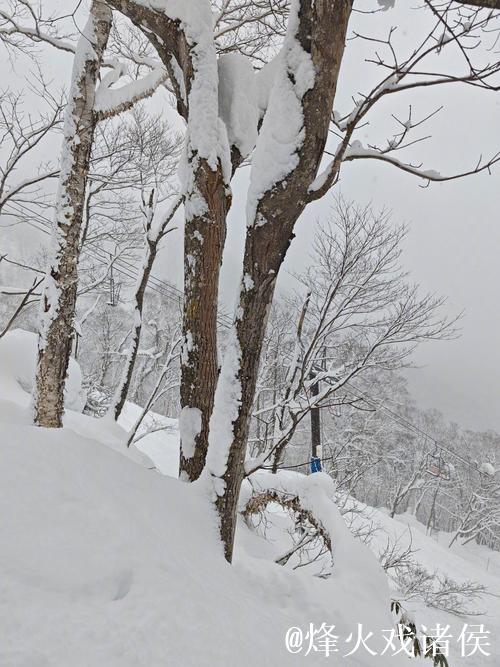滑雪发烧友感叹刷卡如滑雪，钱包空了笑容还在